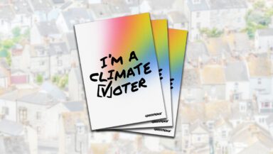 Colourful posters saying 'I'm a climate voter' with city streets in the background.
