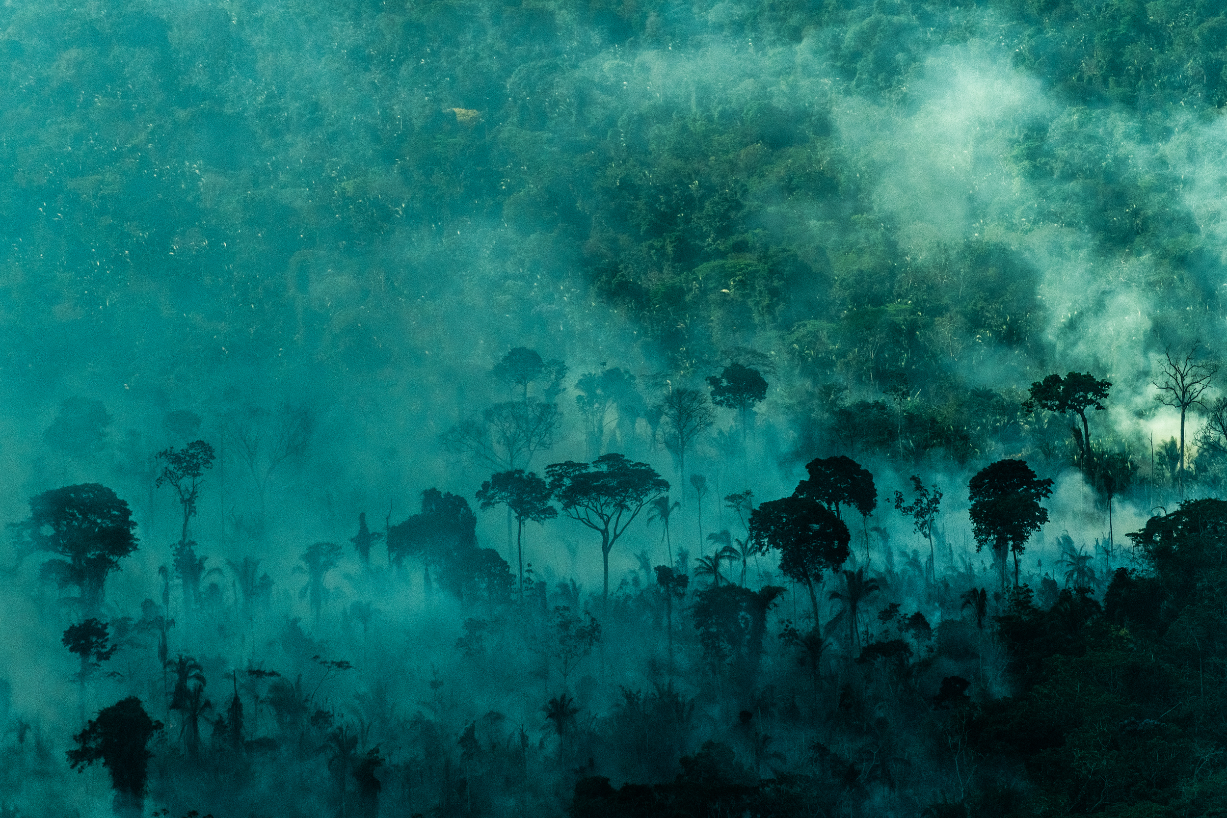 Aerial view of the Amazon rainforest, with smoke drifting between the trees.