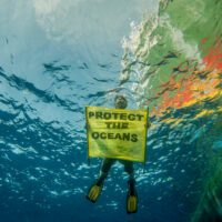 A diver floating just below the surface holds a banner that reads 'protect the oceans'. The rainbow-painted hull of the Greenpeace ship is visible through the water.