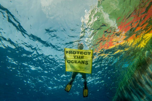 A diver floating just below the surface holds a banner that reads 'protect the oceans'. The rainbow-painted hull of the Greenpeace ship is visible through the water.