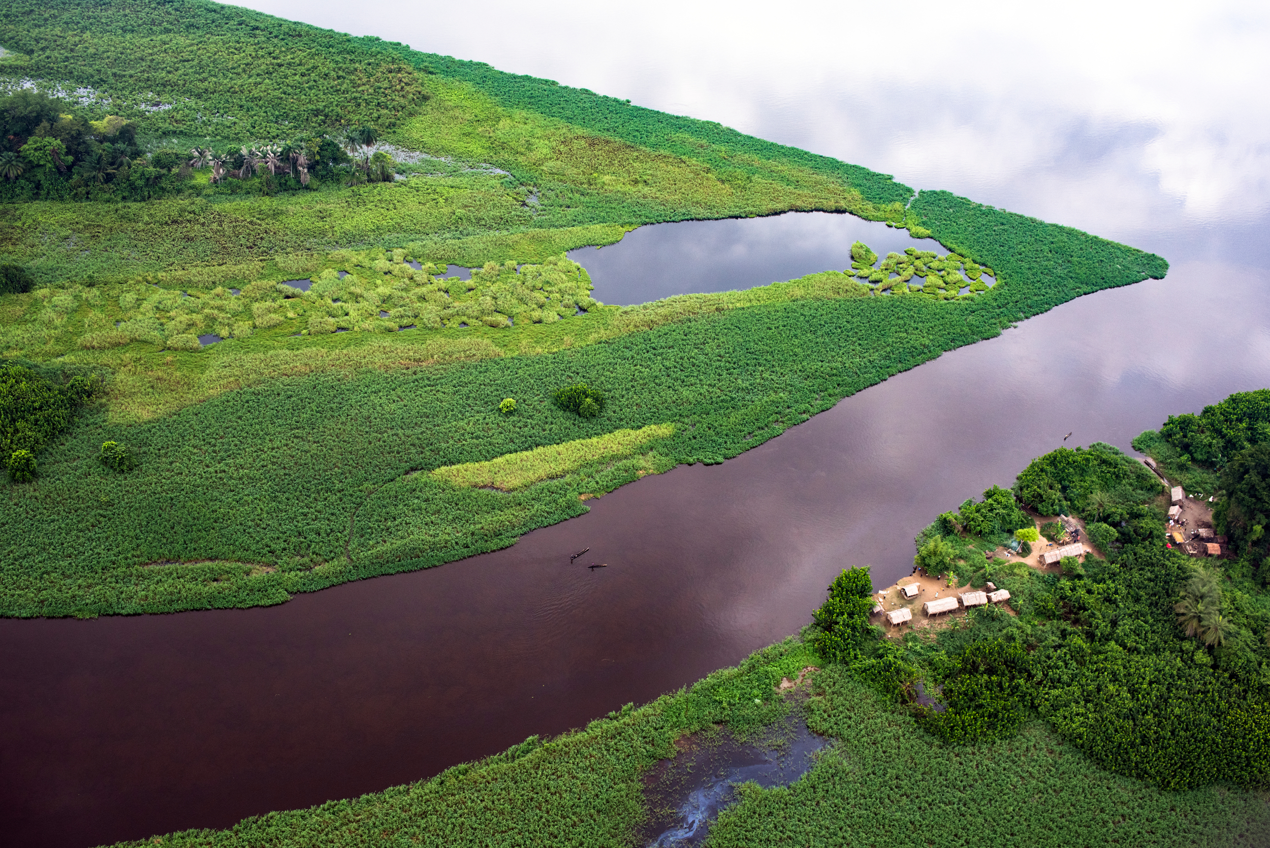 An aerial view of lush swampland, with a cloudy sky reflected in still water.