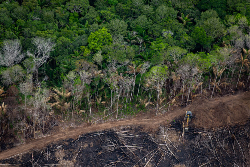 Aerial view shows a dense forest in the upper half of the image, which gives way to bare, scorched earth in the lower half. Deforestation causes climate change