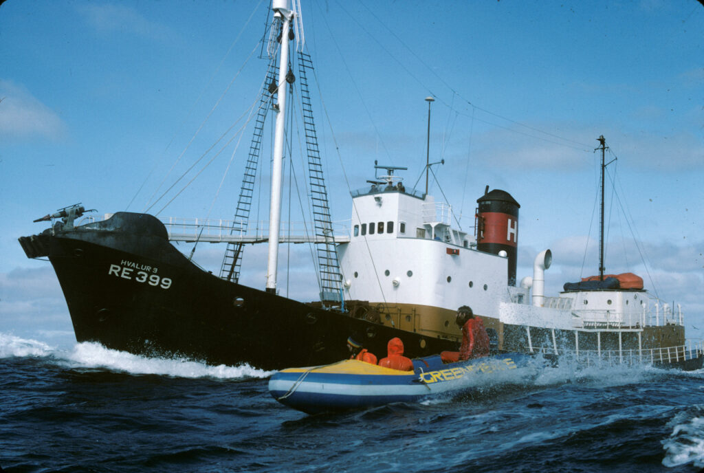 Large whaling ship on the water with a small inflatable boat of protestors alongside