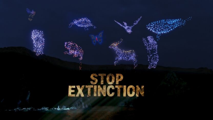 Hundreds of illuminated drones forming the shape of animals spread across the night sky. On a cliff below, the words 'Stop extinction' are projected in bold yellow lettering.