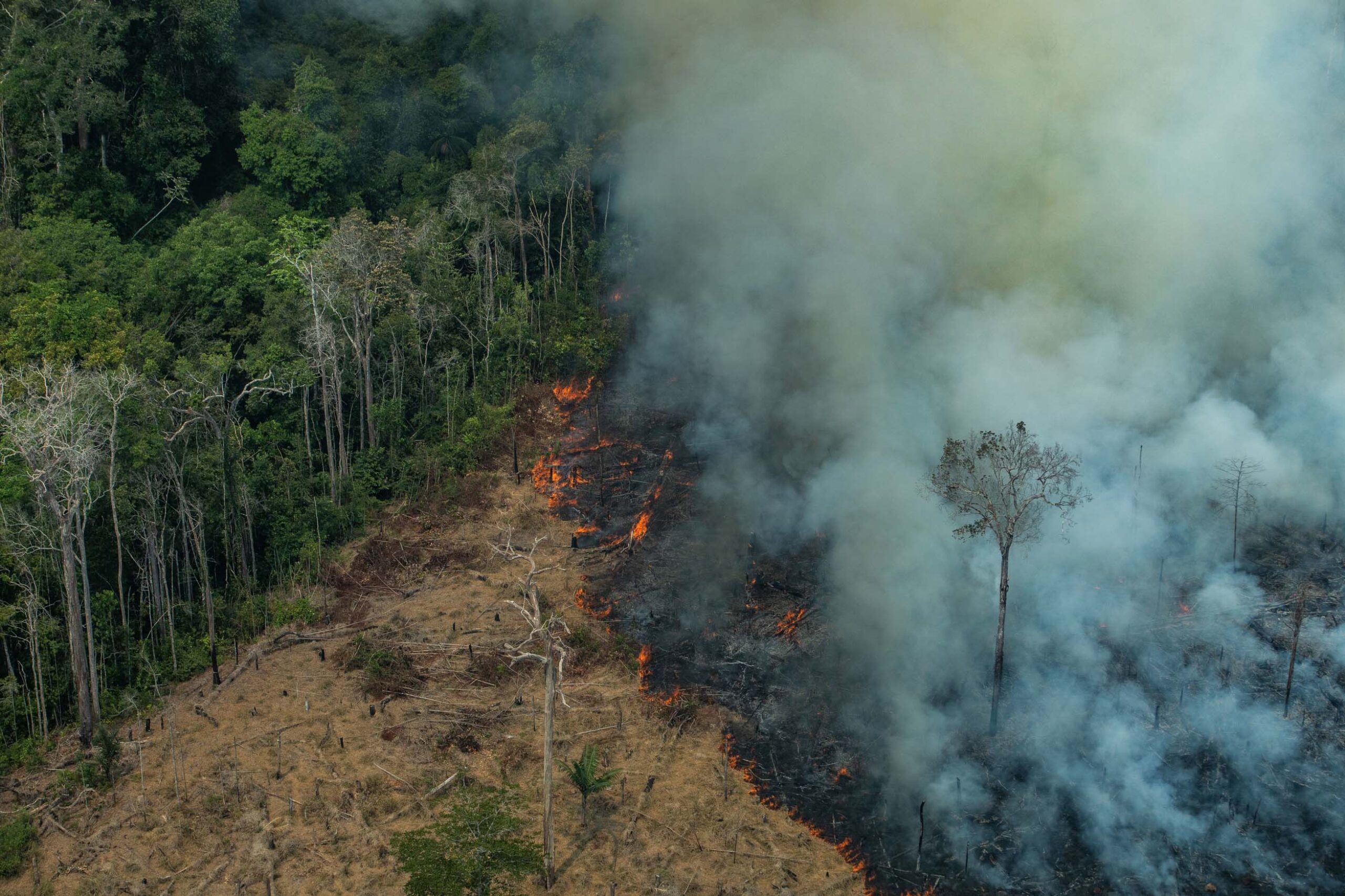 Unilever’s climate announcement is an empty PR exercise says Greenpeace