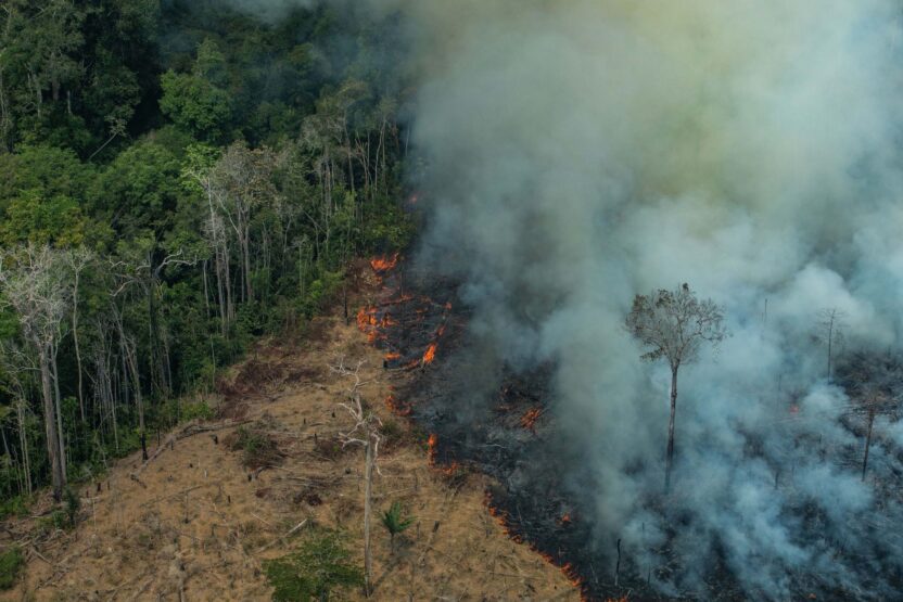 Brazil records 13-year high in fire hot spots – Greenpeace UK response