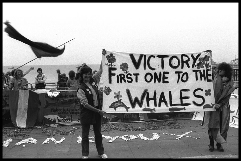 Activists holding a banner that reads: 'Victory first one to the whales' and on the floor, mussels spell the words: 'Thank you'