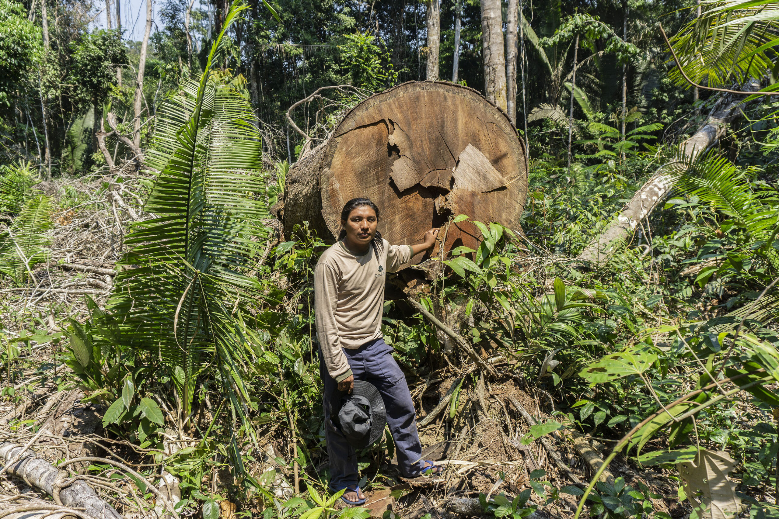 An Indigenous man stands in front of a fallen tree with a serious expression.