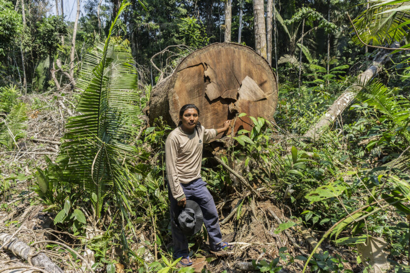 An Indigenous man stands in front of a fallen tree with a serious expression.