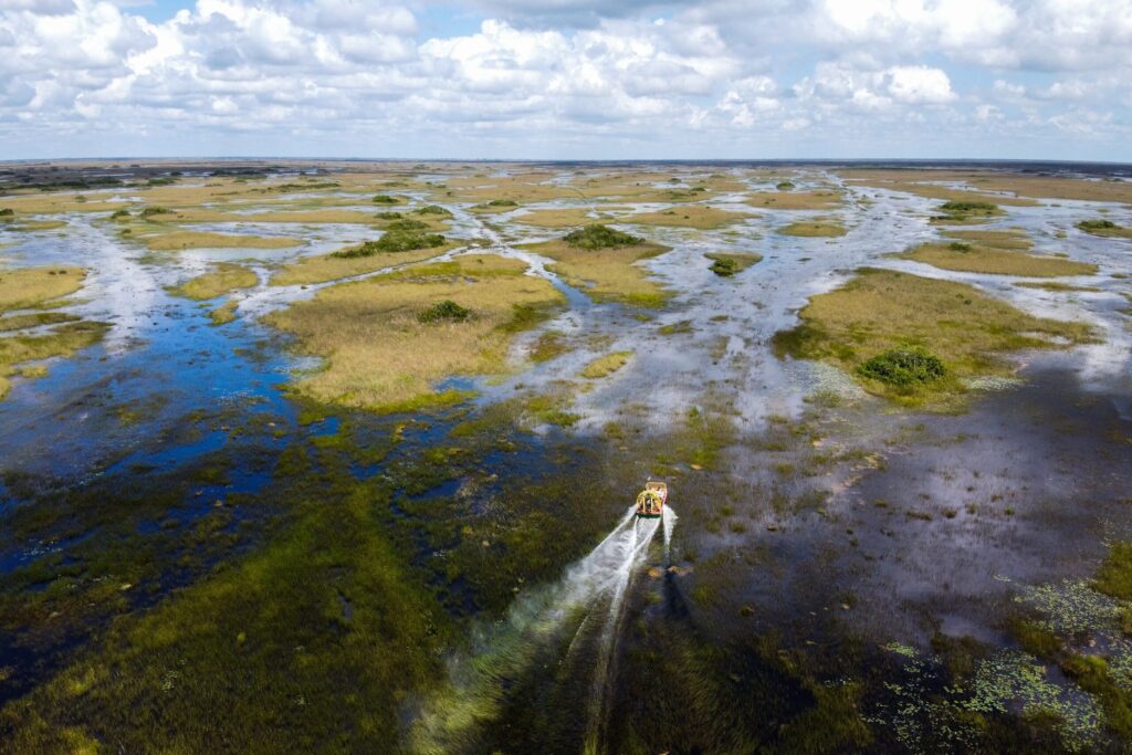 A small boat travels on a vast wetland