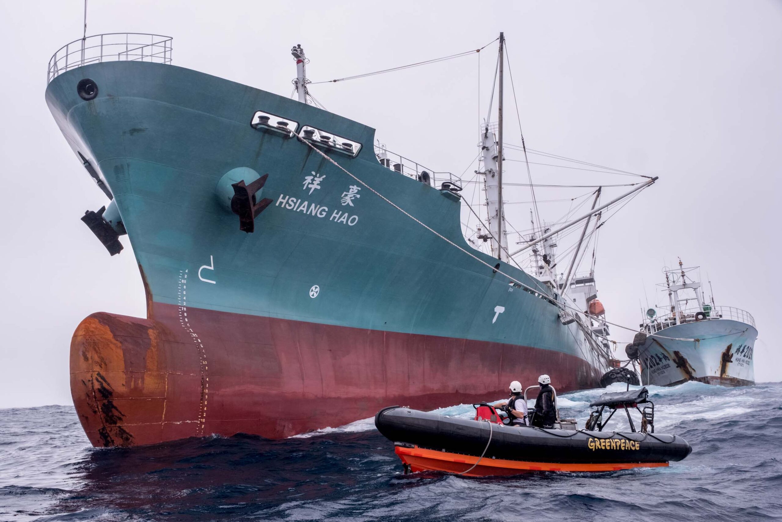 Industrial fishing ramps up during COVID19 pandemic
