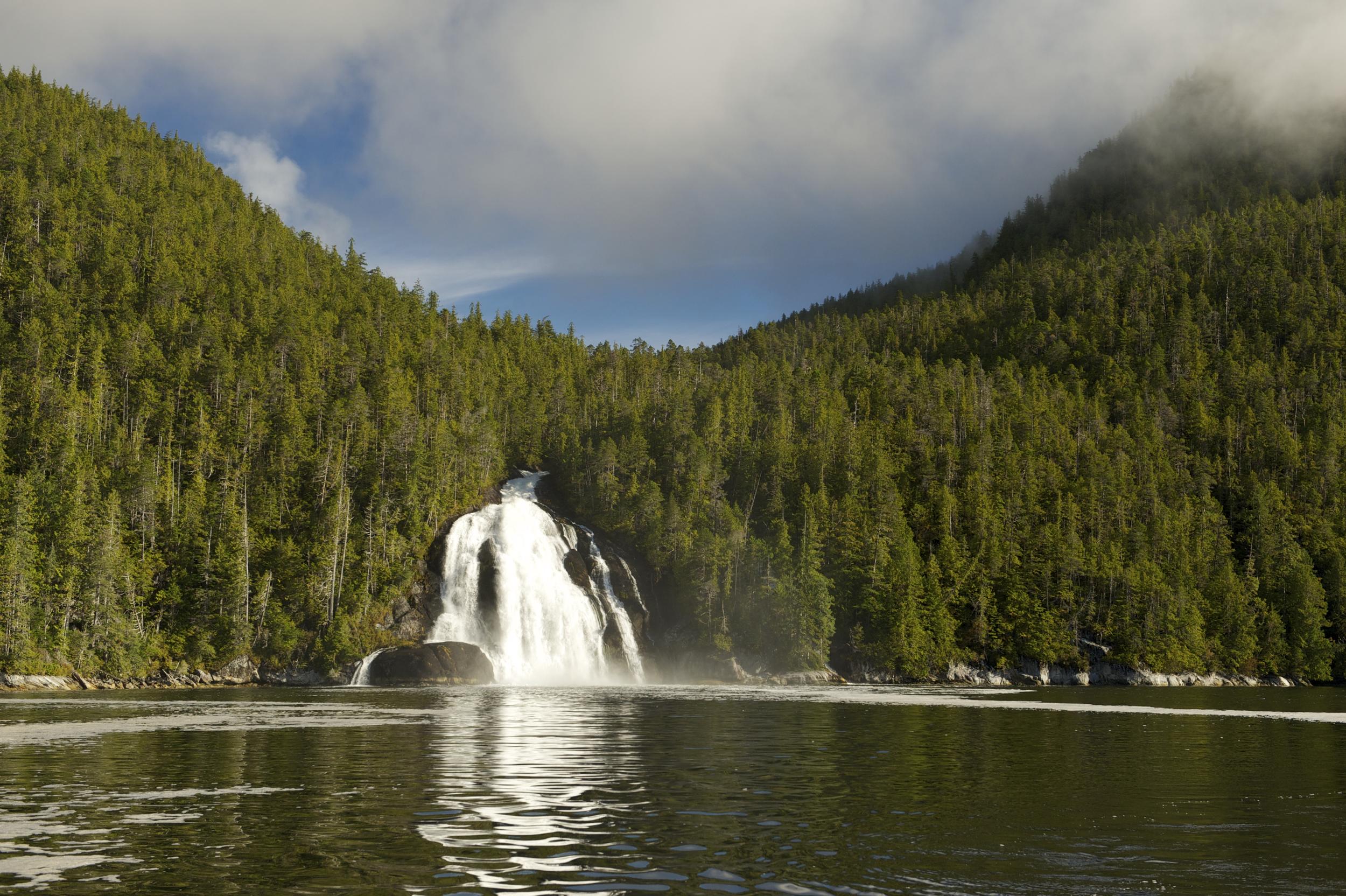 A waterfall runs out from a densely-forested hillside and into a calm lake in the Great Bear Rainforest