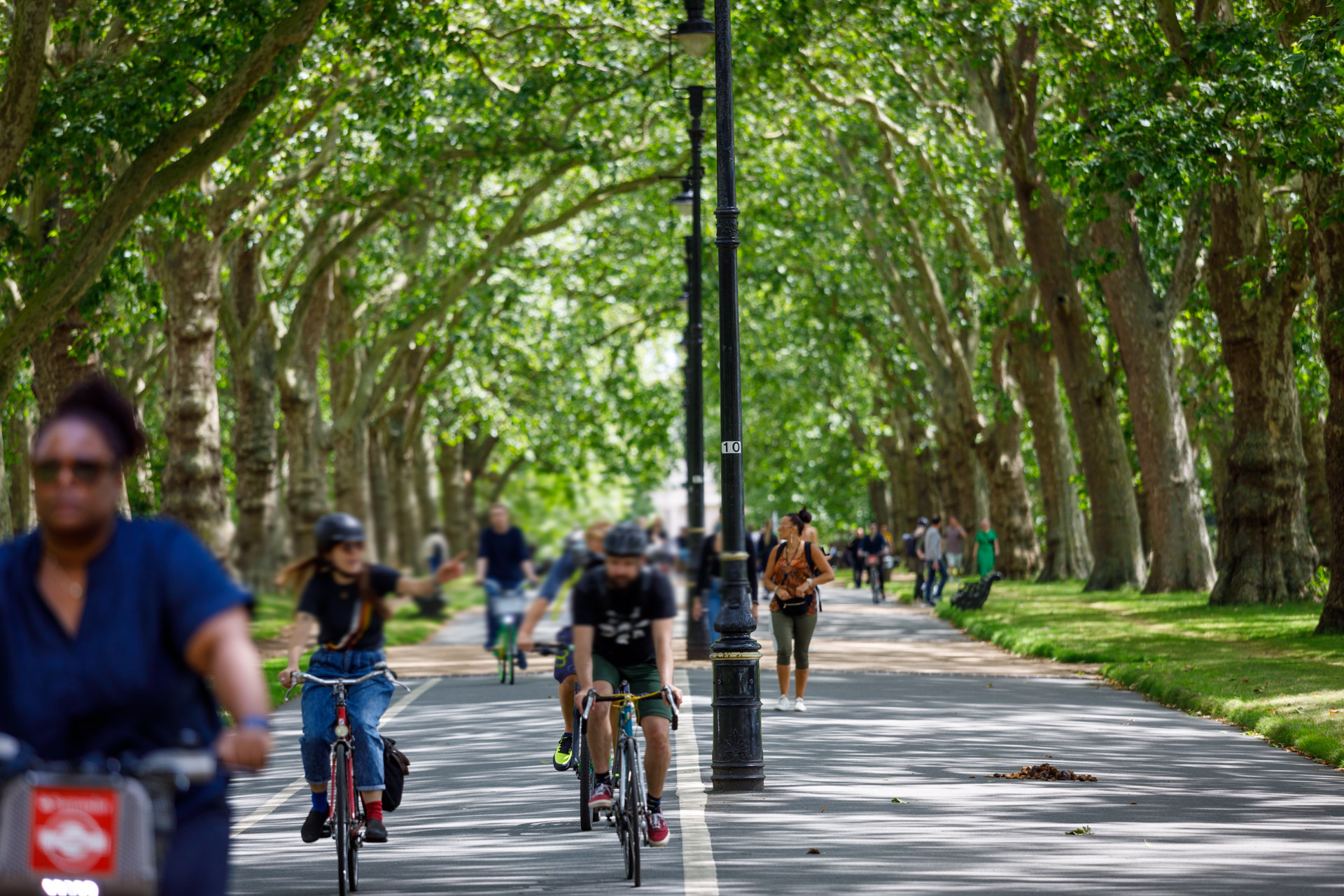 People on bikes ride along a wide, tree-lined pathway through a park