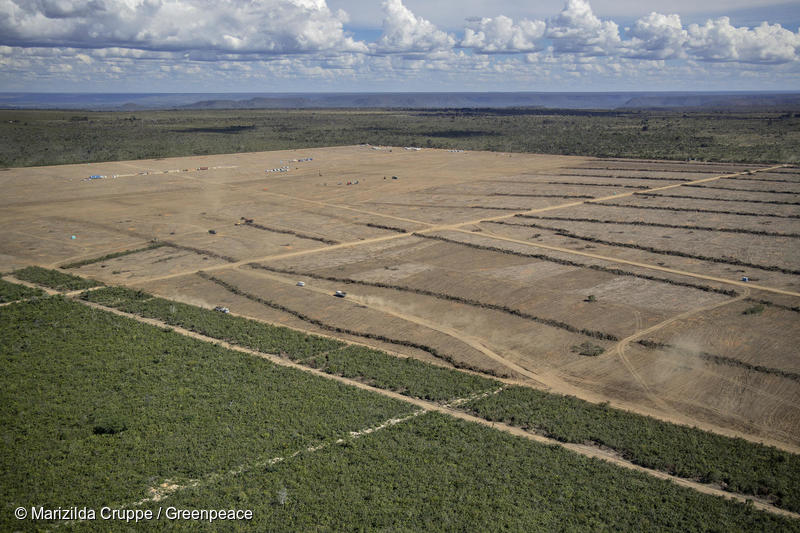 Deforested area