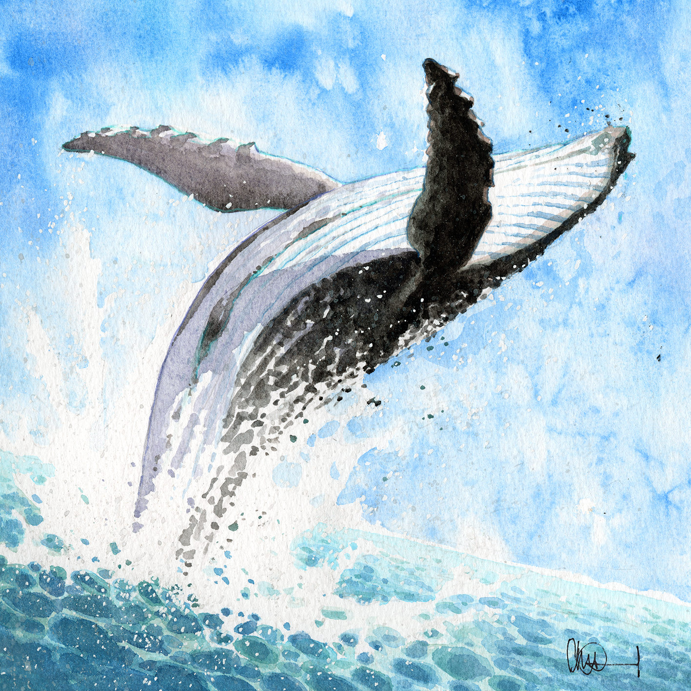 Watercolour painting of a black and white whale breaching in a blue sea with white foam spray all around