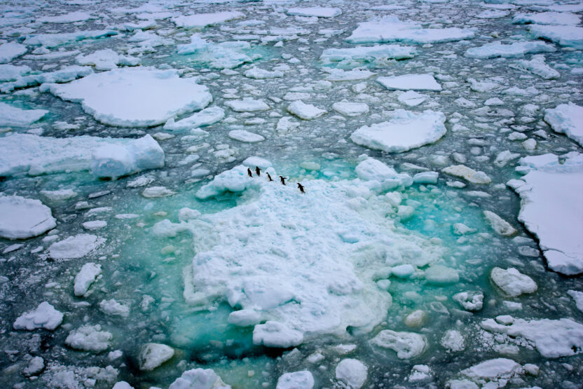 Aerial view of penguins walking across a fractured landscape of crumbling sea ice.