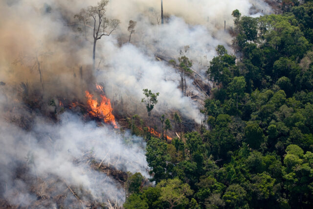 Aerial shot of forest fire