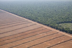 aerial view of farm in Amazon