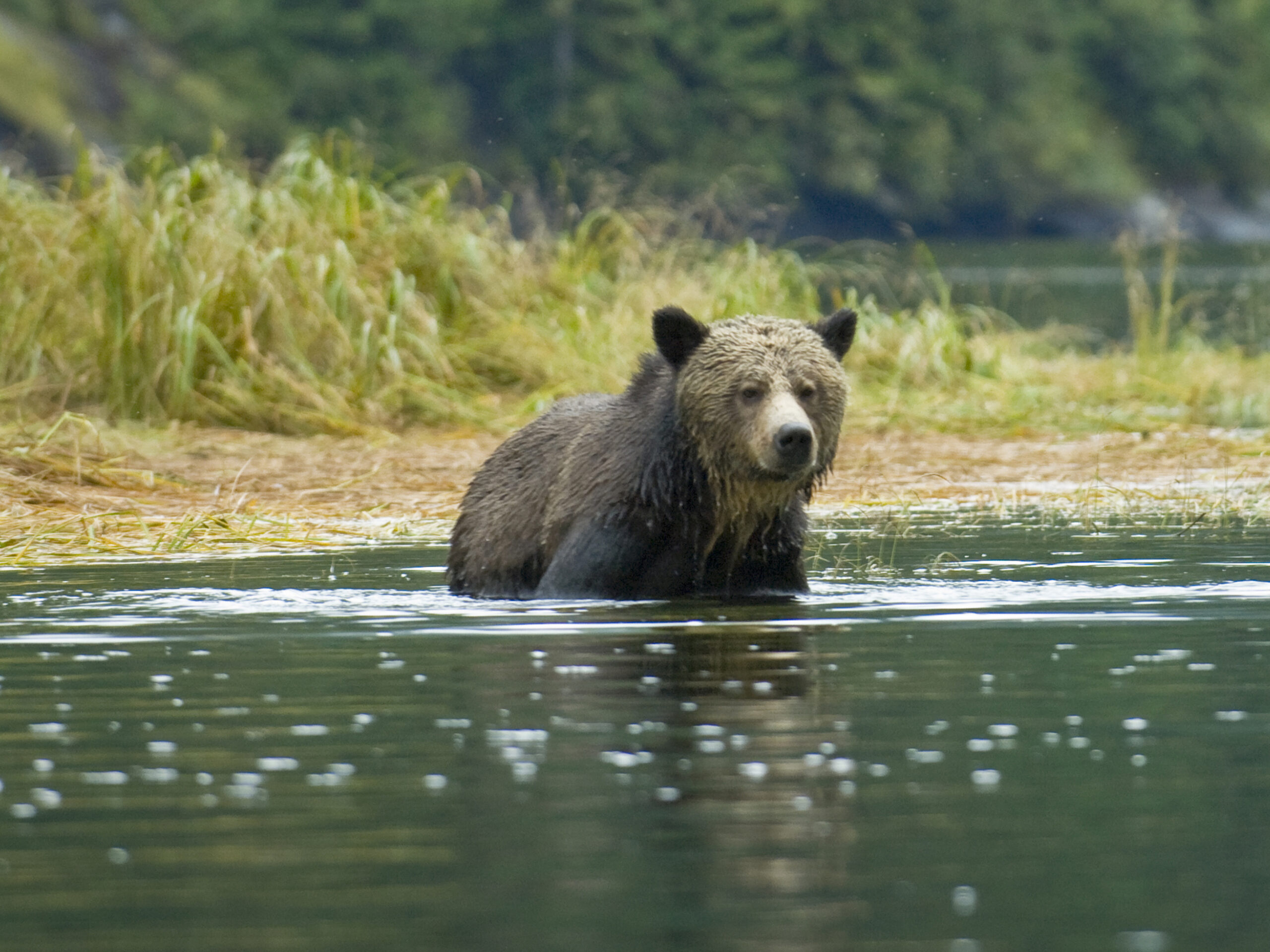 Together we can protect nature