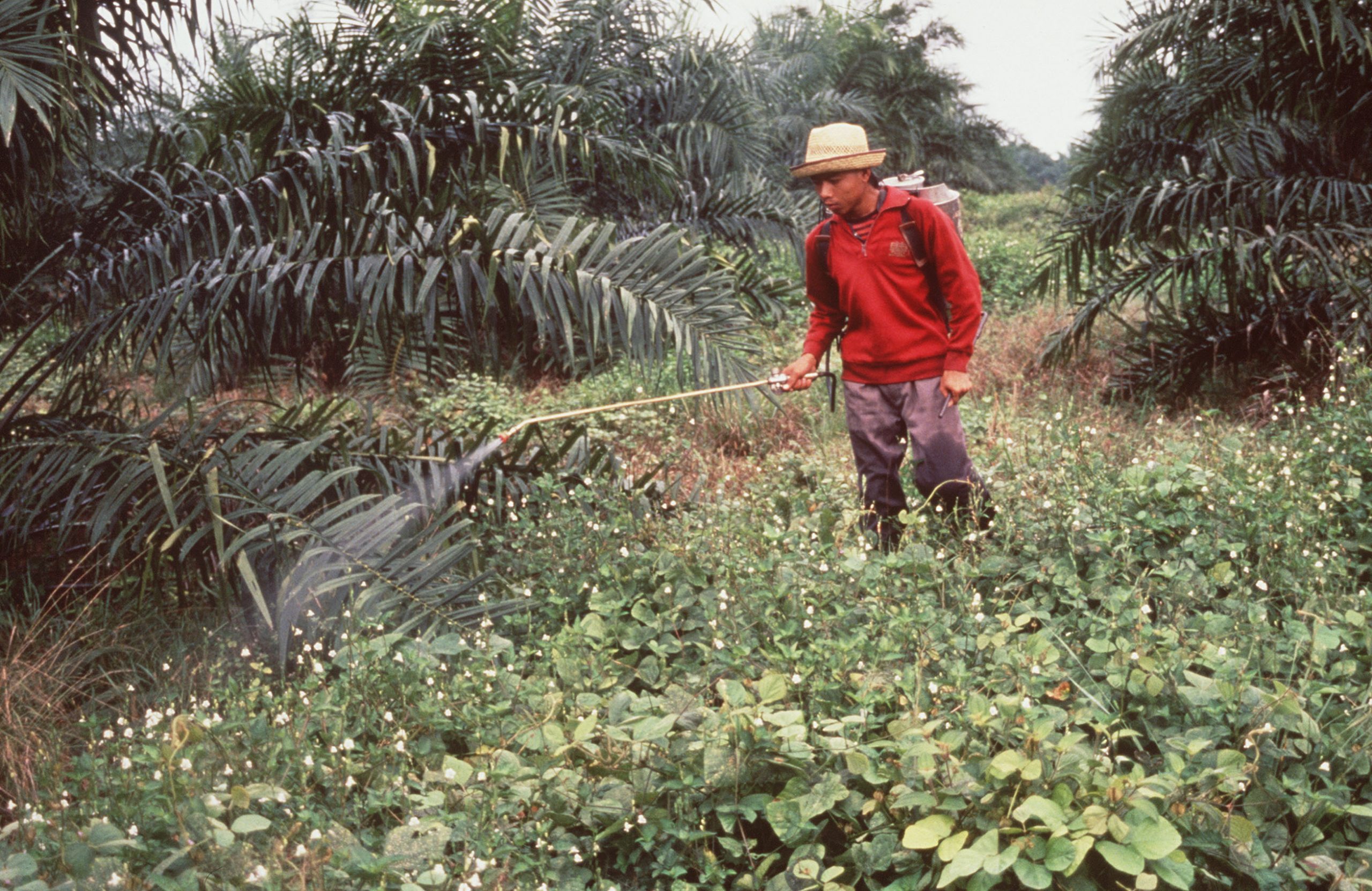 Unearthed investigations