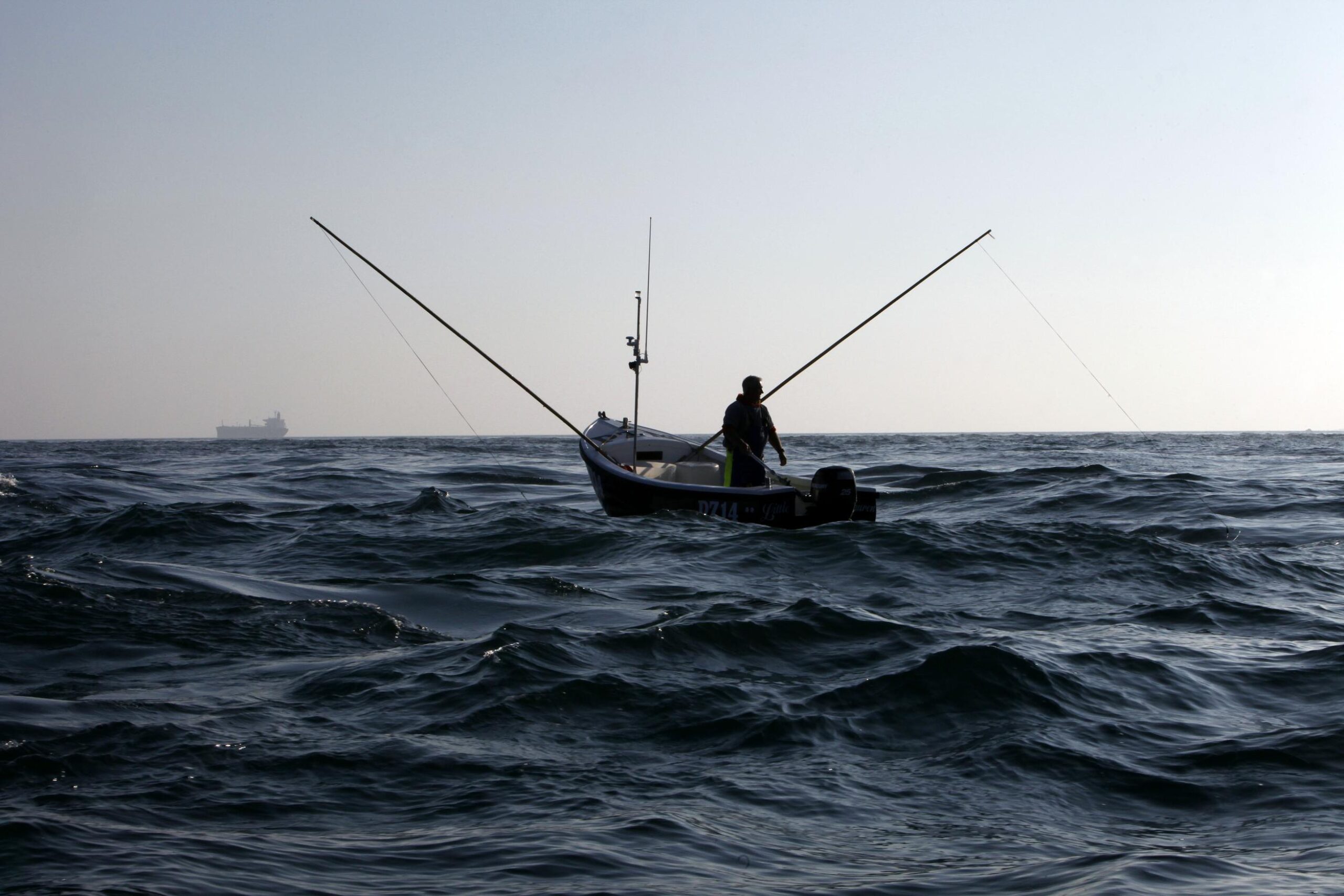 At sea: Fisheries minister votes against healthier fish stocks and a fairer catch for British fishermen