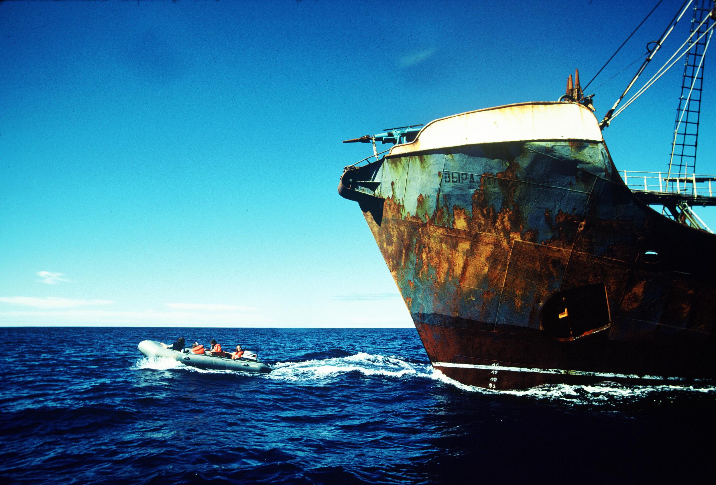 A Greenpeace Zodiac crew blockades a Russian harpoon ship during Greenpeace's second whale campaign. Mid North Pacific Ocean, between Mexico and Hawaii.