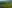 Aerial view of a vast wetland. It's dark pools and lush greenery as far as the eye can see.