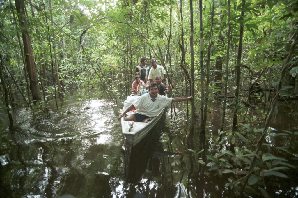 People in a large canoe paddle through a flooded forest