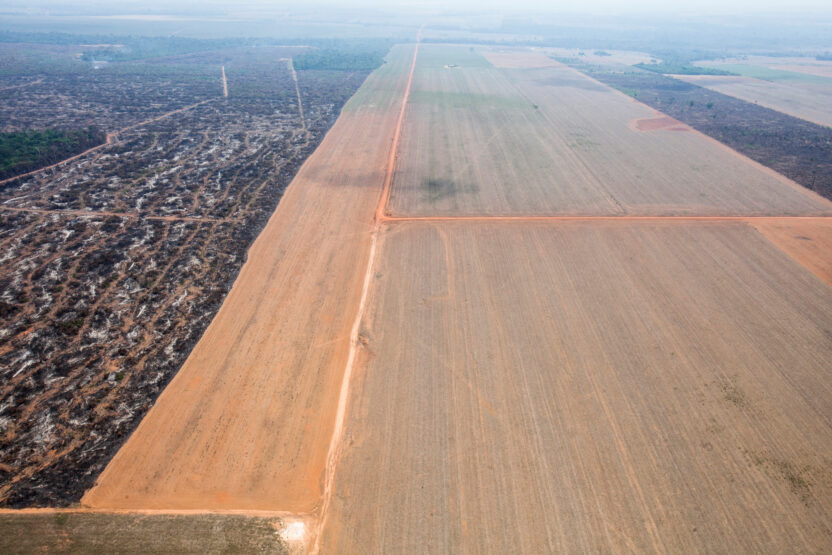 Greenpeace response to agricultural companies’ COP26 Forest deal statement