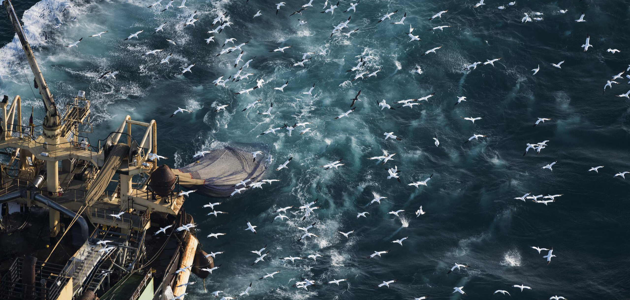 Bright blue seas: the need to properly protect our offshore Marine Protected Areas