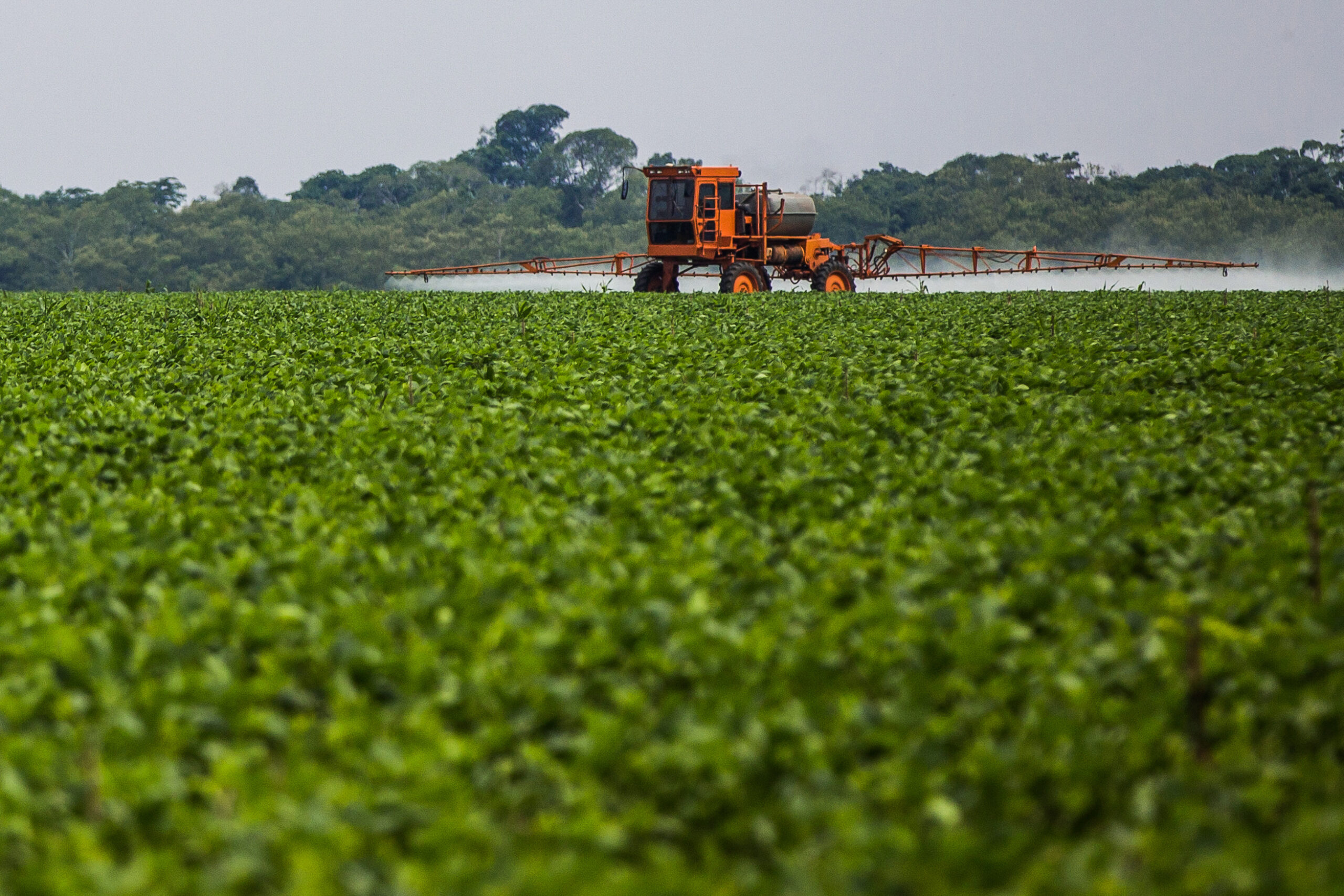Pesticide giants make billions from bee-harming and other hazardous chemicals