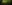 Wide-angle view of a lush temperate forest in full leaf. Sunlight filters through the dense canopy and plays on the dark forest floor.