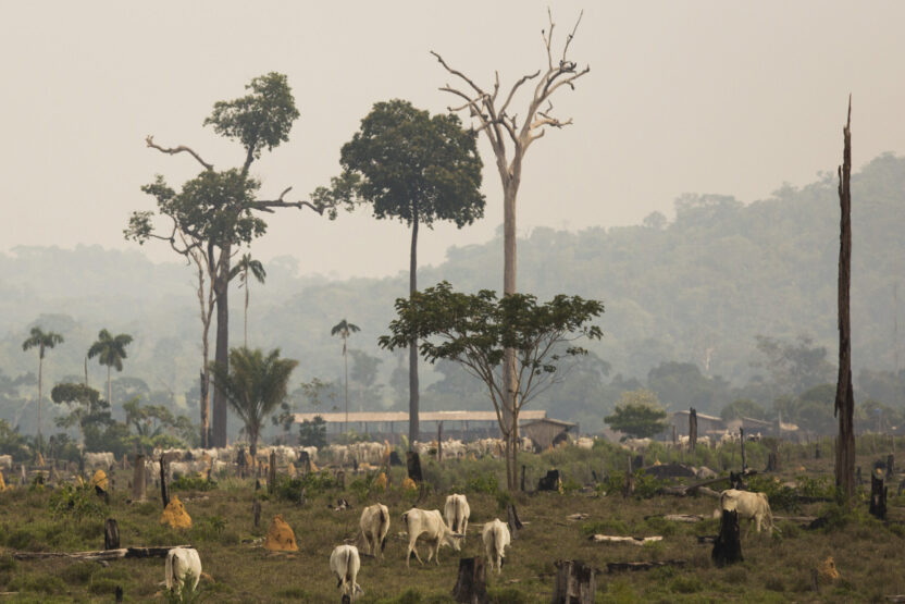 JBS extends immunity to forest criminals to feed its supply chain until at least 2035 in surreal ‘global commitment’ 