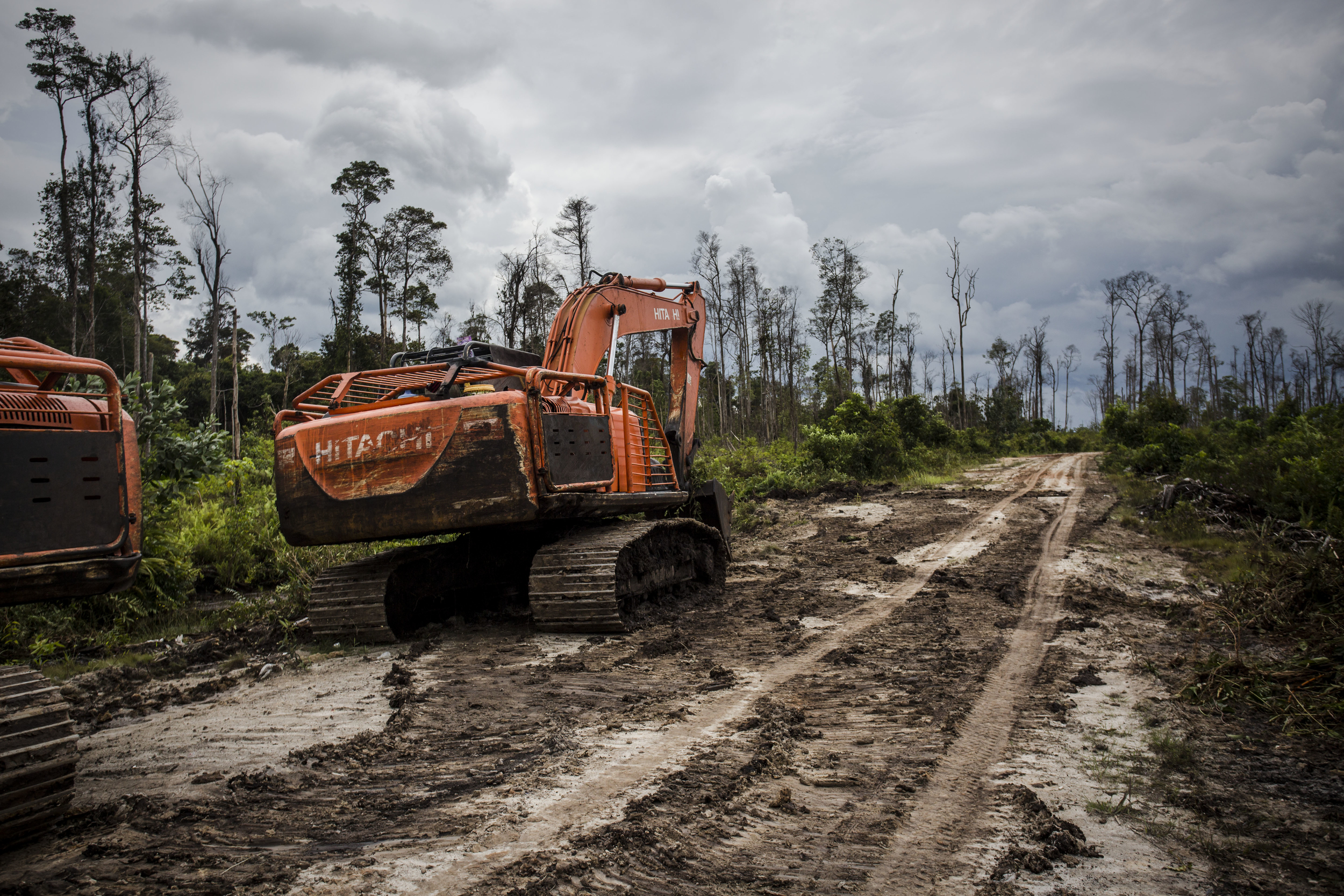 Nestlé’s new claim appears to be a blatant and embarrassing attempt to deceive customers