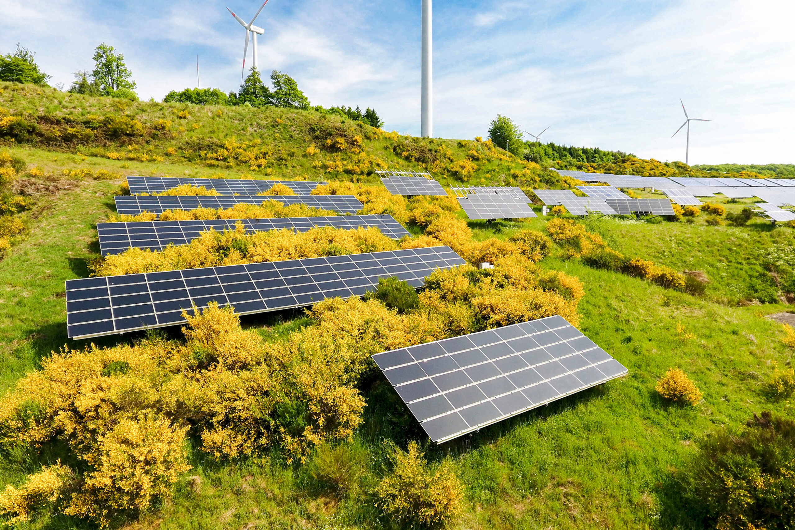 How the government can invest to tackle the climate and nature emergency