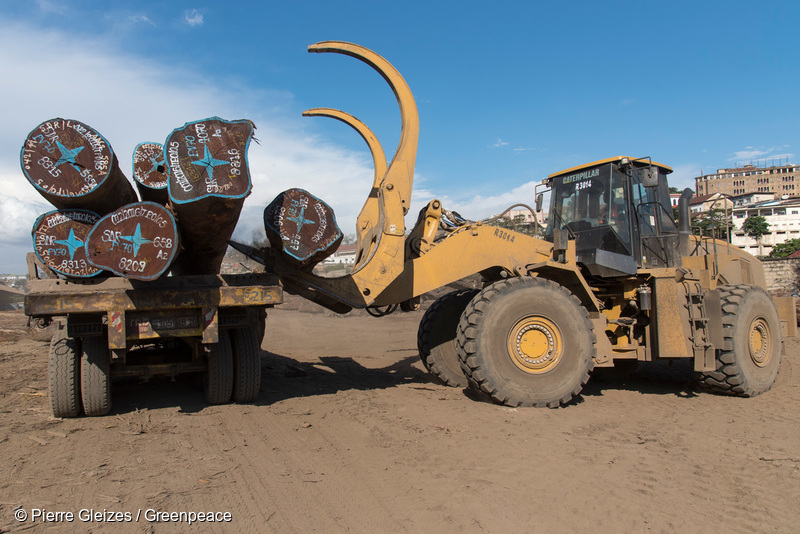 Industrial Logging Activity
