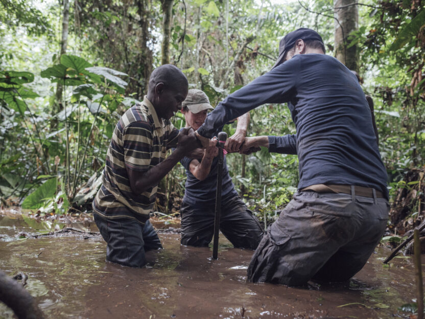 Seven conservation success stories from the battle to protect nature
