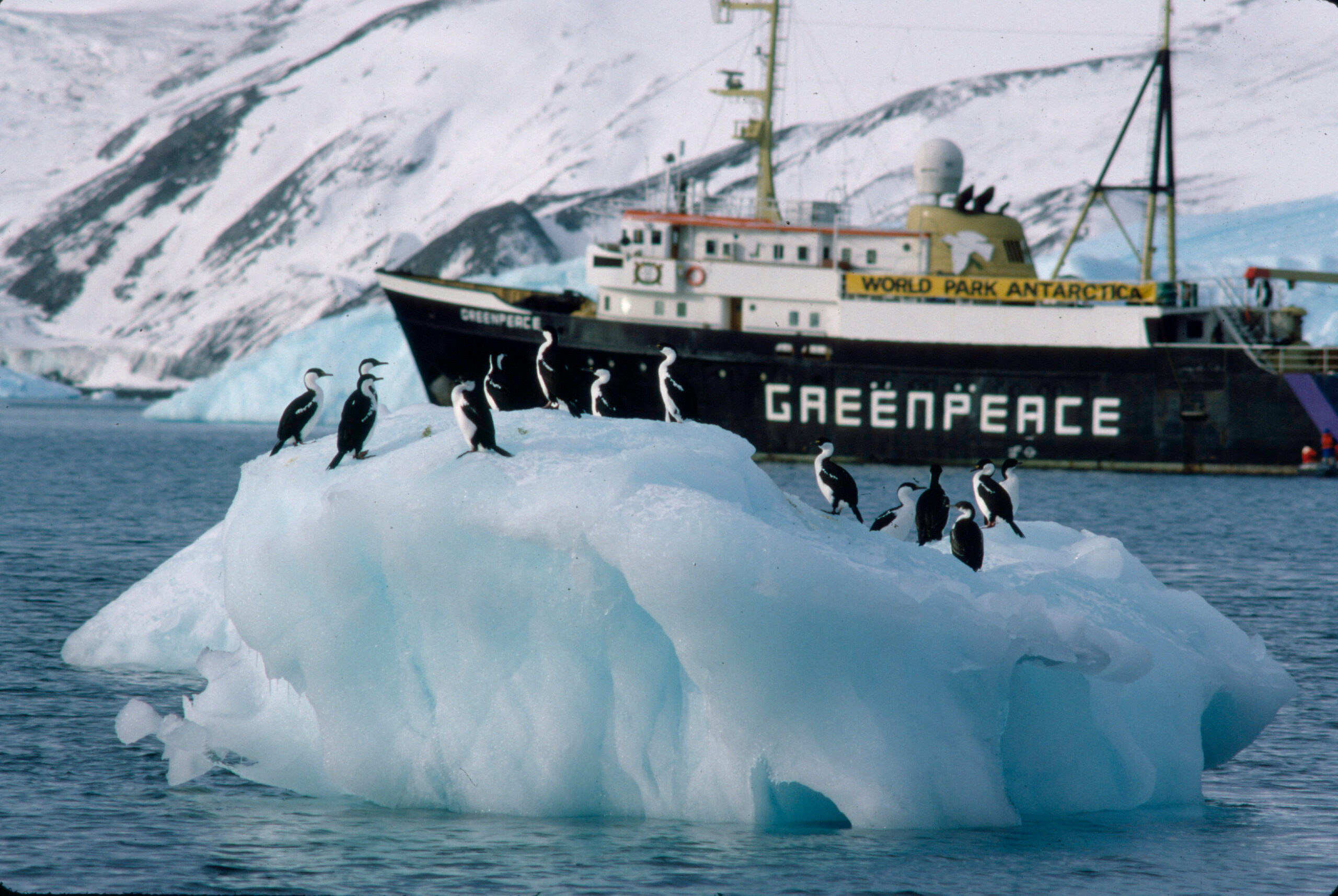 A ship in an icy landscape with penguins in front of it on an iceberg