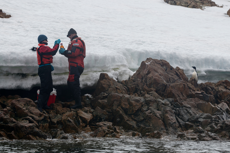 Two people by the edge of an ice sheet collecting samples. A penguin looks on from a short distance away.