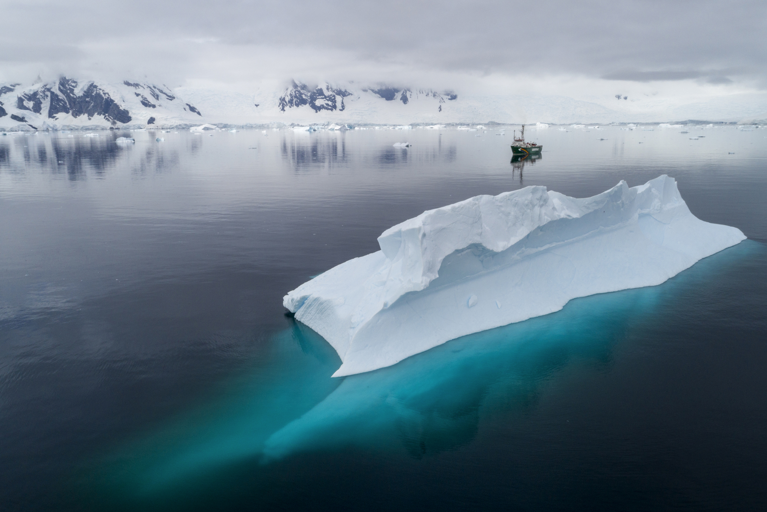 Greenpeace slams Antarctic Ocean Commission for ‘failing its mandate’ to protect Antarctic waters