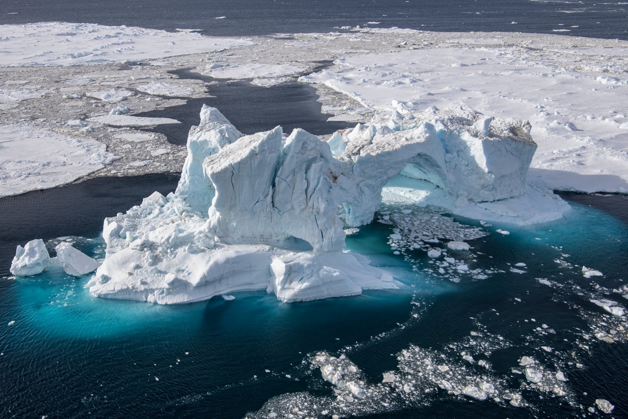 6 spooky facts about the Antarctic - Greenpeace UK