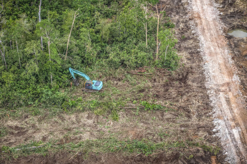 UK brands will fail palm oil promise