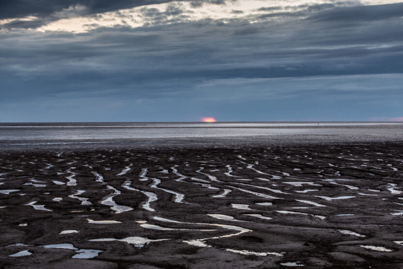 Half of England’s most important wildlife sites left unprotected