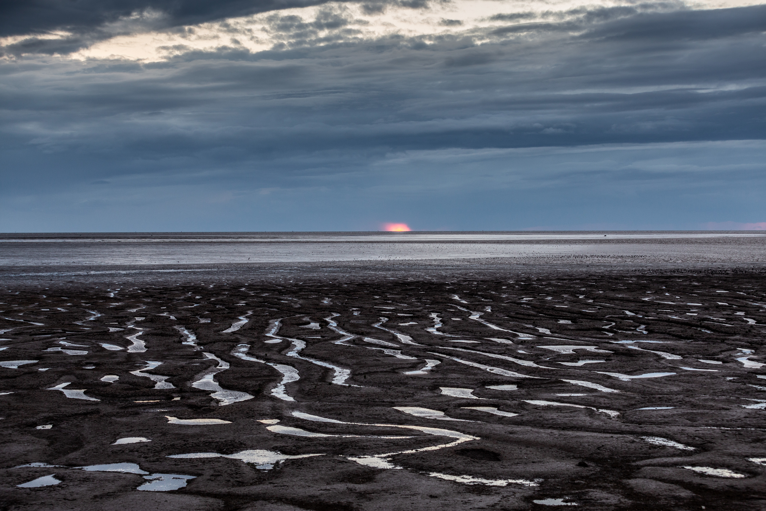 Half of England’s most important wildlife sites left unprotected