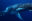 Humpback whale in a dark blue ocean