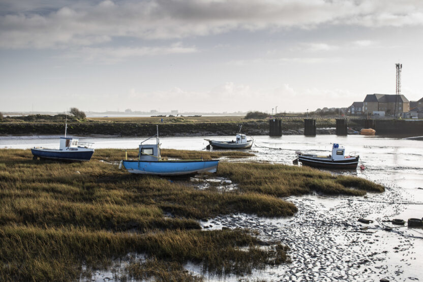 Government Fisheries Bill – Greenpeace response