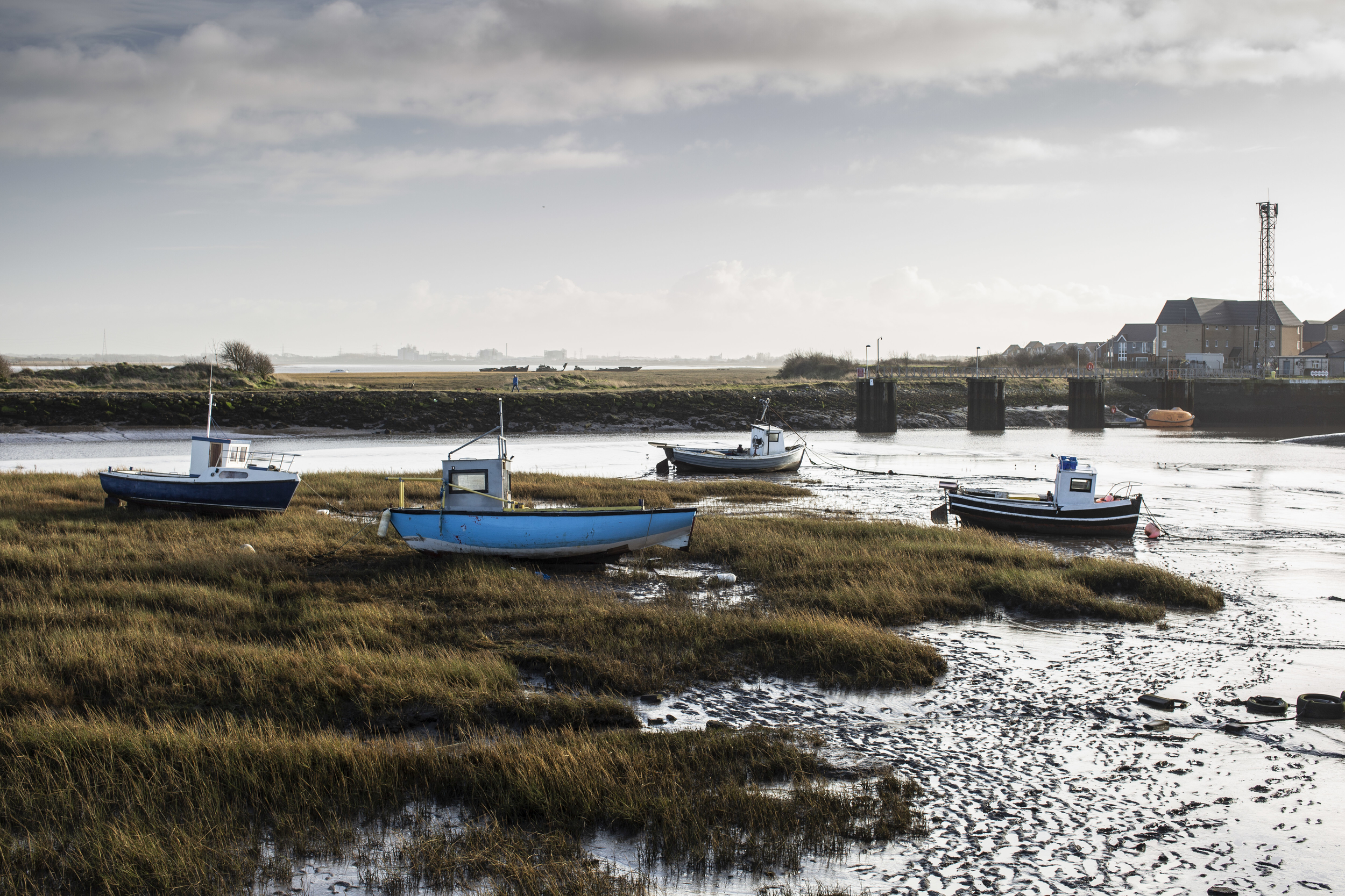 Government Fisheries Bill – Greenpeace response