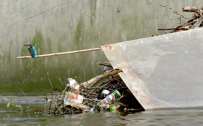 RIVERS OF PLASTIC: Photographs reveal UK river wildlife habitats invaded by plastic pollution