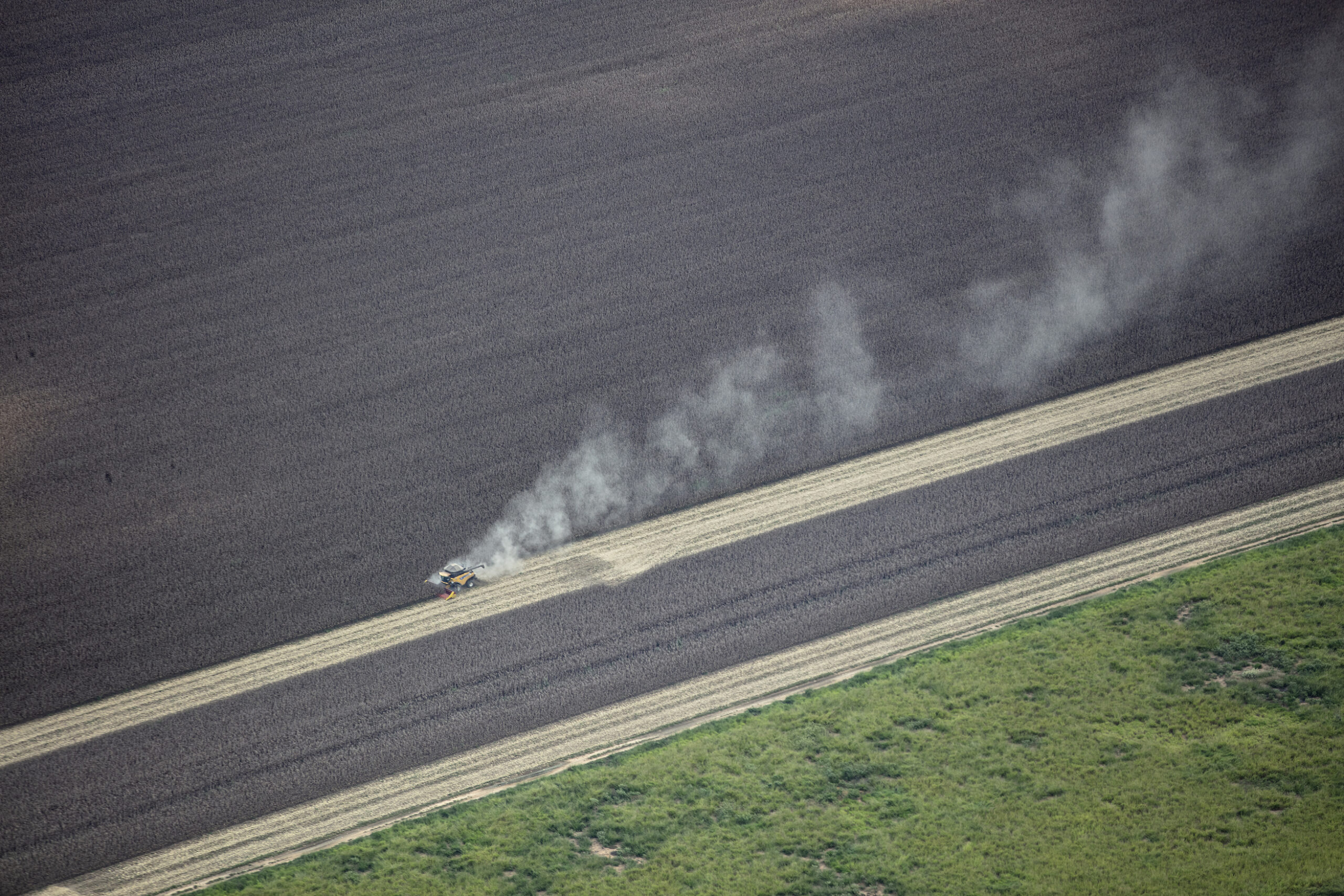 50 million hectares destroyed as companies disregard zero deforestation pledge