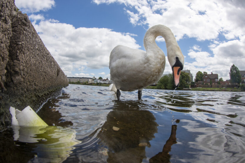 New air and water pollution laws are full of loopholes